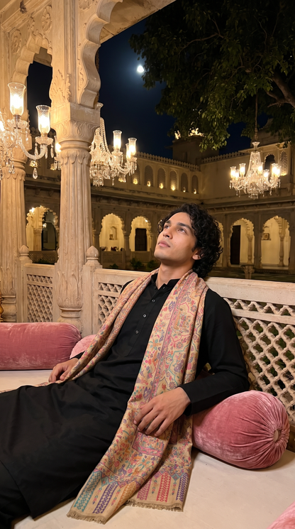 Multicolour Pashmina Jacquard Dupatta