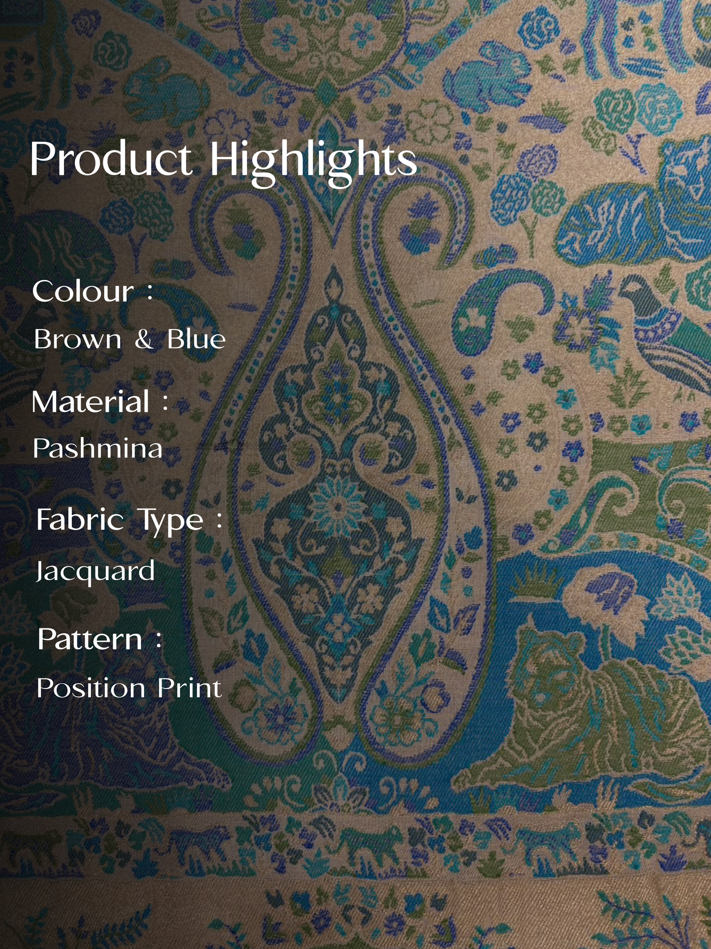 Multicolour Pashmina Jacquard Dupatta