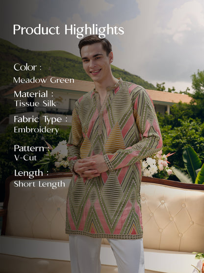 Meadow Green Tissue Silk Short Kurta Set with Embroidery