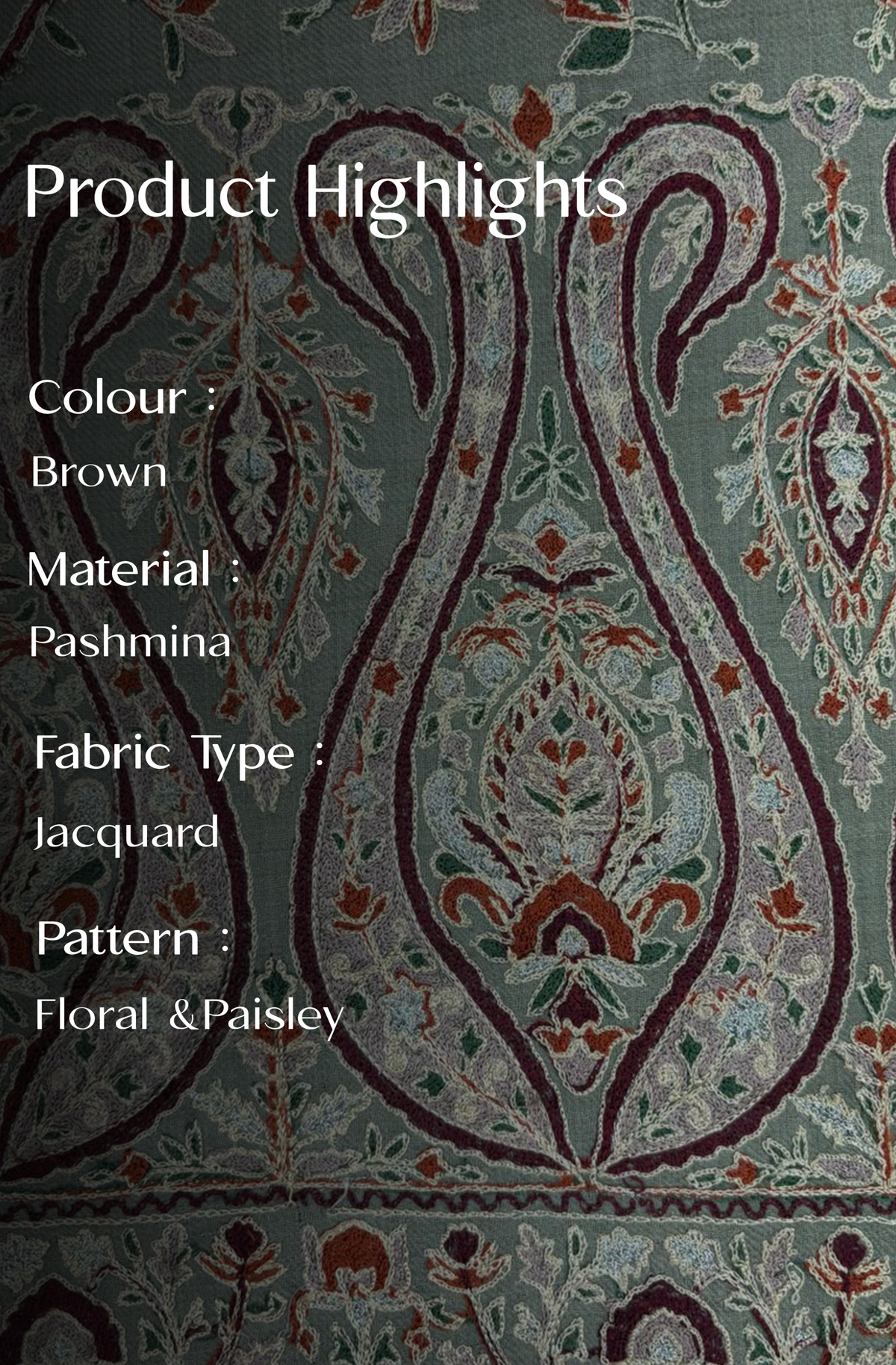 Multicolour Pashmina Jacquard Dupatta with Embroidery