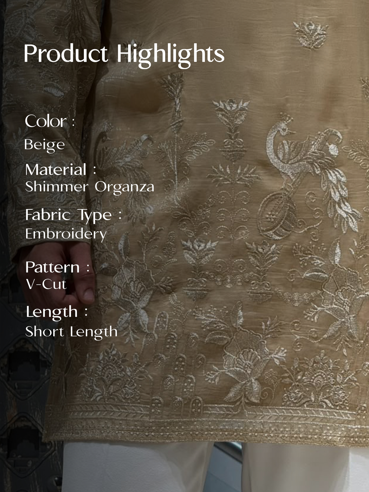 Beige Shimmer Organza Short Kurta Set with Jari Embroidery