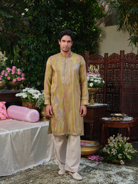 Multicolour Shimmer Tissue Kurta–Bottom Set with Zari & Foil Embroidery