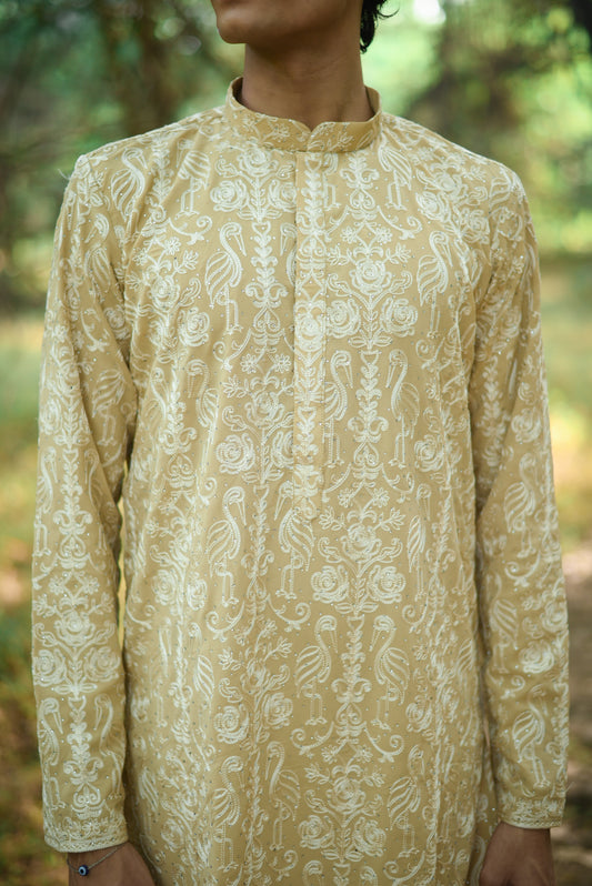 Fawn Thread Work Festive Kurta Set