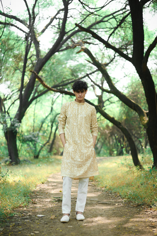 Fawn Thread Work Festive Kurta Set