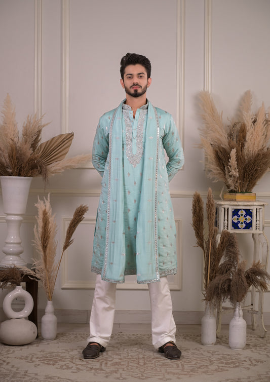 Light Blue Silk With Silver Zari And Sequins Embroidery