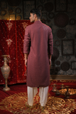 Festive Sage Emboridery Kurta Set